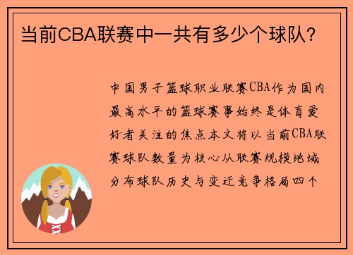 当前CBA联赛中一共有多少个球队？