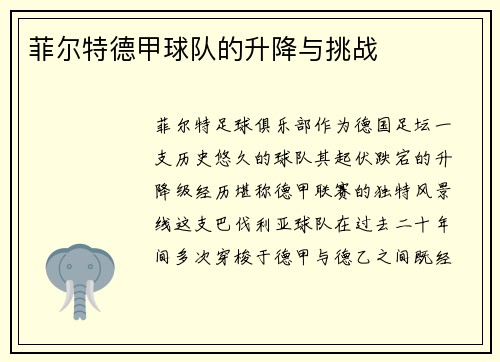 菲尔特德甲球队的升降与挑战